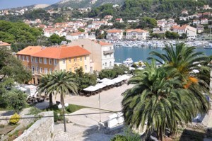Kaloćira Željko 9