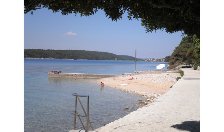 Pičuljan Zlata 9