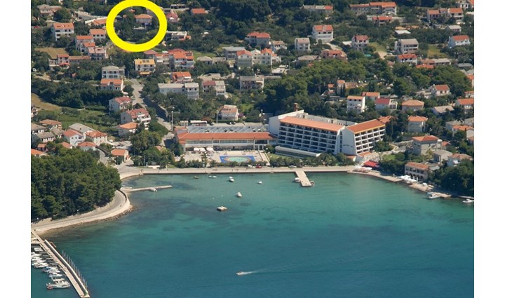 Sušić Mirko