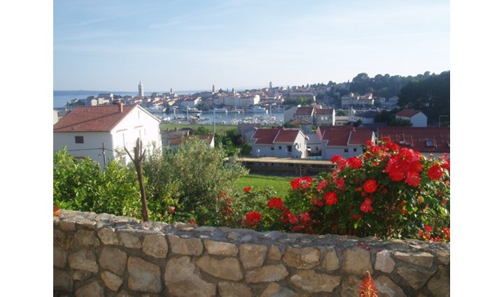 Valovičić Josipa 1