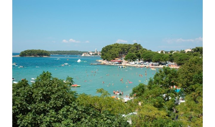 Vrtodušić Josip 0