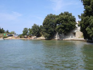 Bišić Zlatica