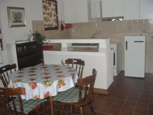 Bišić Zlatica 2