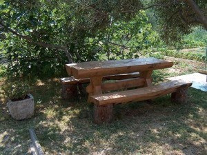 Nadalić Šotić Marijana 7