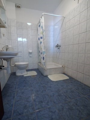 Žic Anka 6