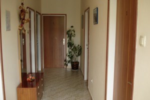 Orlić Anka 2