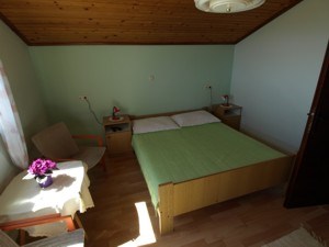 Pahljina Darinka 9