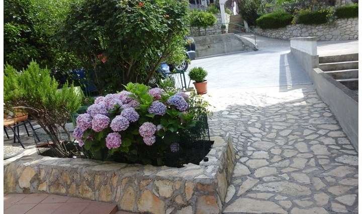 Saratlić Vilma 2
