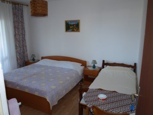 Španjol Andre 1