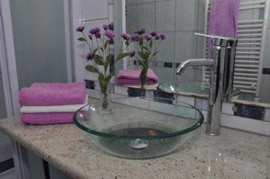 Salopek Rakic Vesna 2
