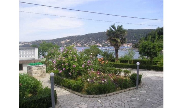 Tomulić Ana 1