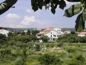 Travašić Siniša
