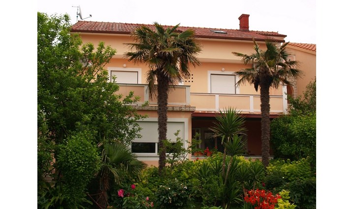 Blagdan Marija 3