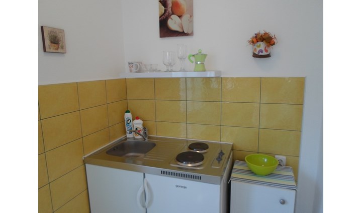 EMA  Brašnić Smiljka 3