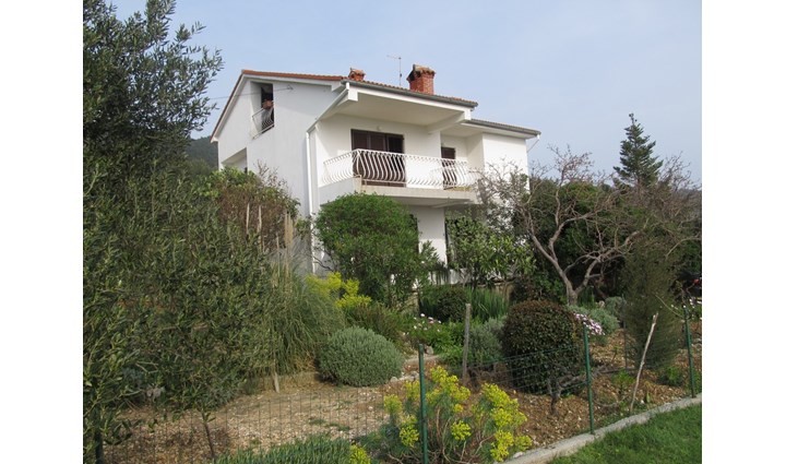 Holjar Lucija 2