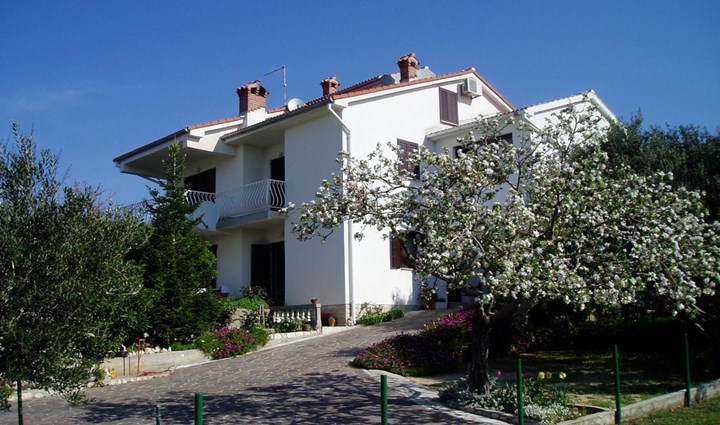 Holjar Lucija