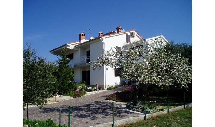 Holjar Lucija