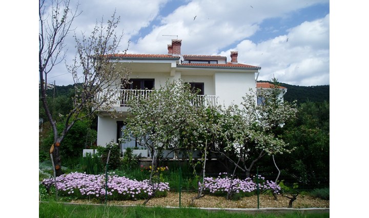Holjar Lucija 9