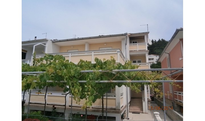 Macolić Damir