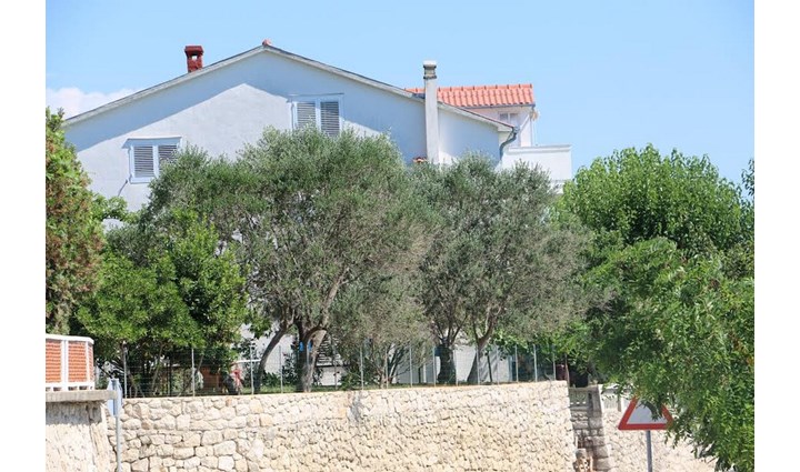 Tomulić Frane 2