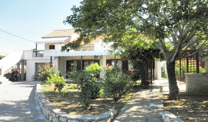 Benić Martina