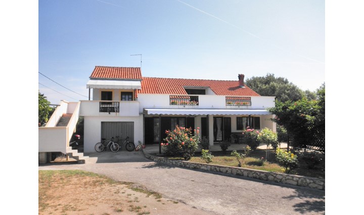 Benić Martina 8