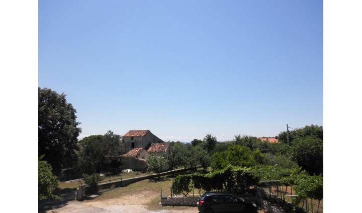 Benić Martina 9