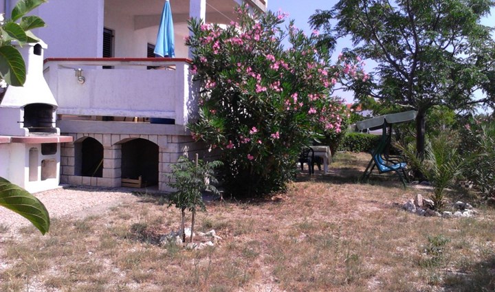 Malič Petrica