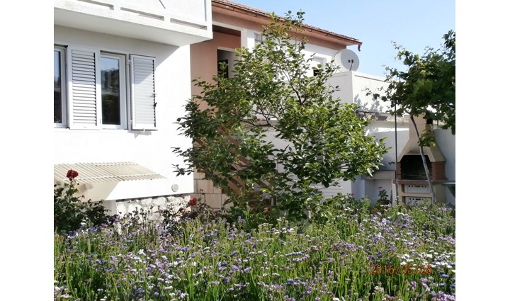 Maračić Antica 6