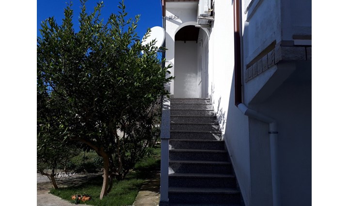Maračić Zoran 1