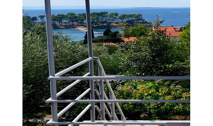 Pičuljan Kecman Branka 10