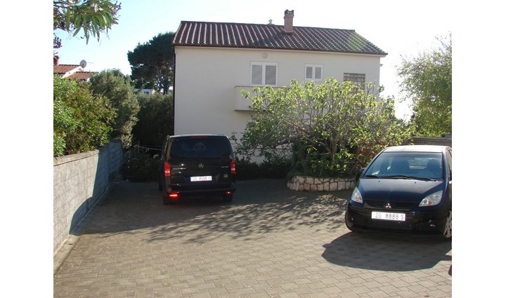 Šipek Sandra 1