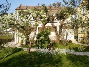Perčinić Mladenka 3