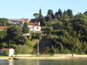 Staničić Mileva 6